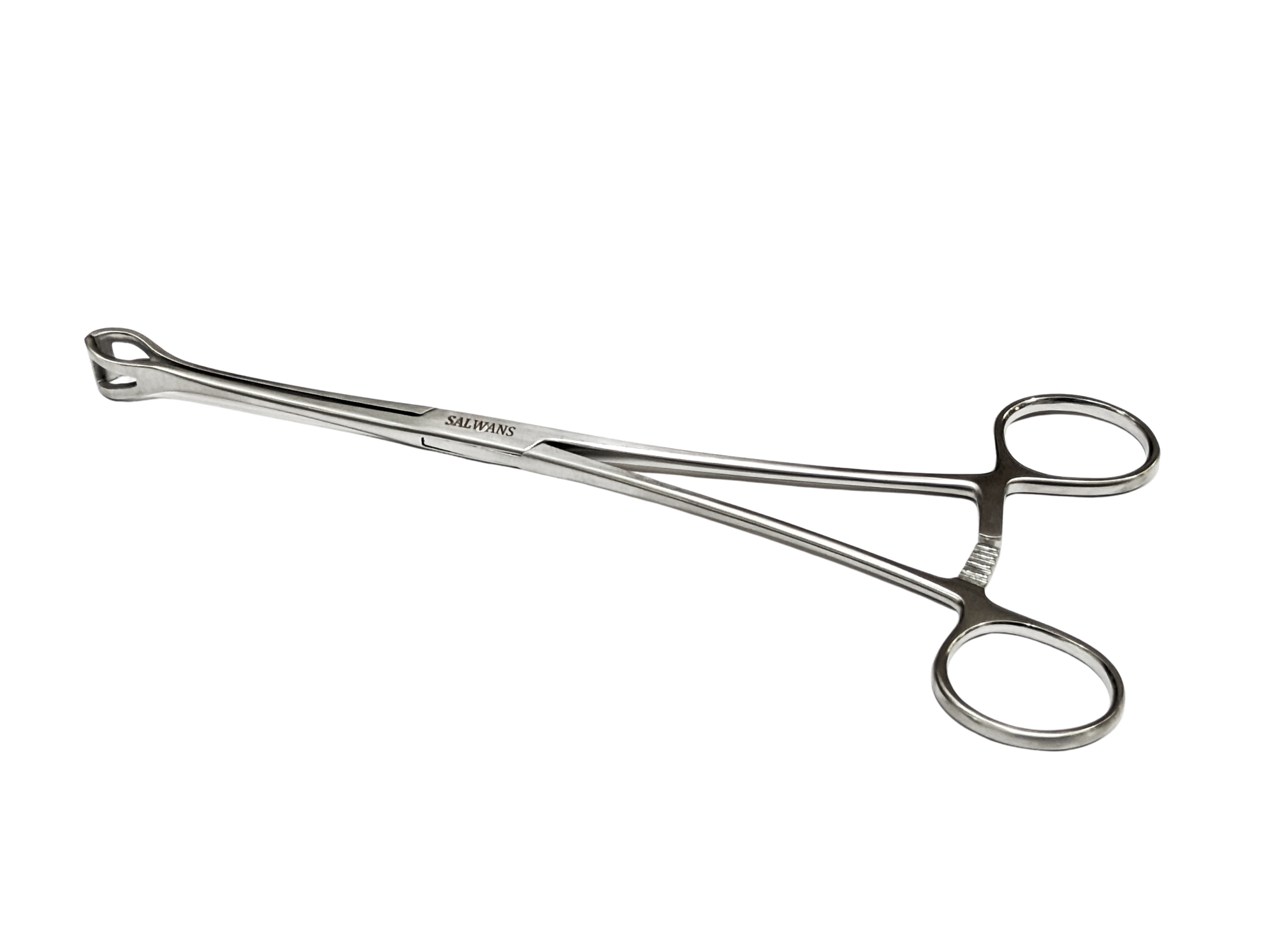 babcock forceps stainless steel instrument